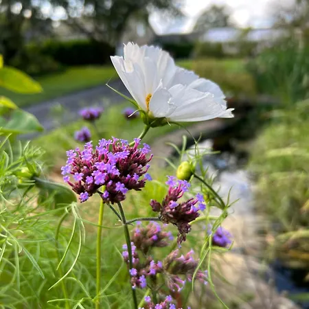 乡村民宿 Hazel Manor