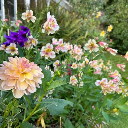 Hazel Manor 乡村民宿 *