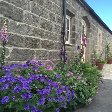 乡村民宿 Hazel Manor 哈罗盖特