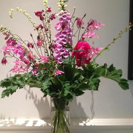 乡村民宿 Hazel Manor 哈罗盖特