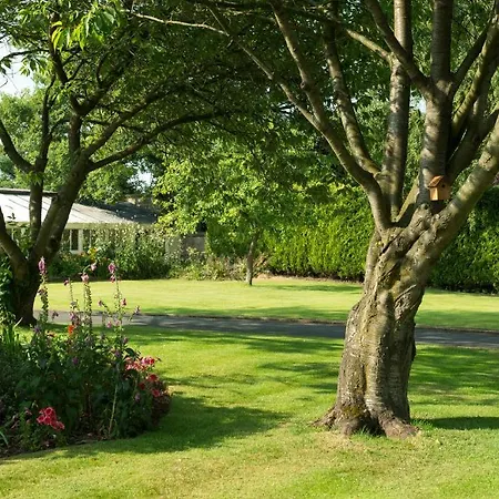 Hazel Manor * 哈罗盖特