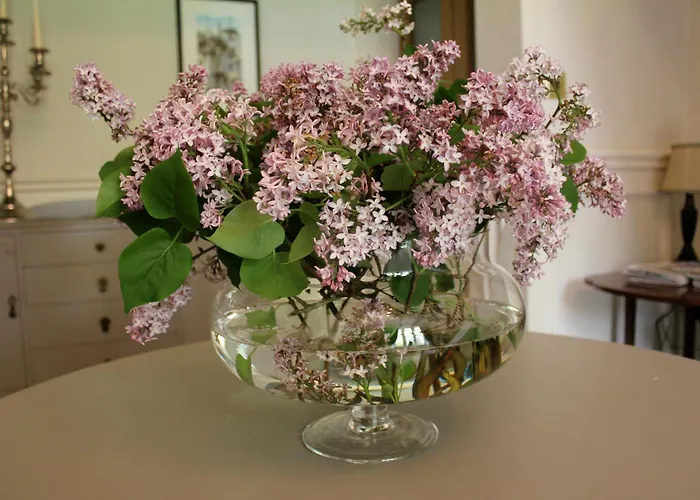 Casa di campagna Hazel Manor *