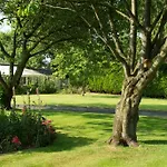 Hazel Manor * هاروغايت